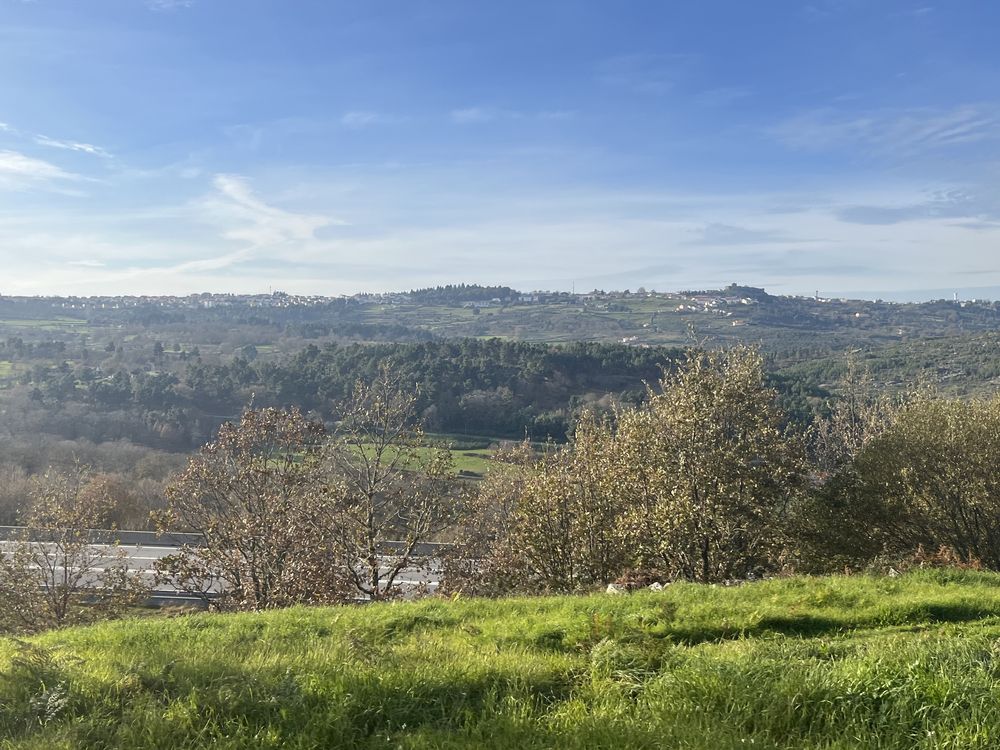 Terreno com Souto e cultivo junto á IP2 Trancoso, com acesso a agua