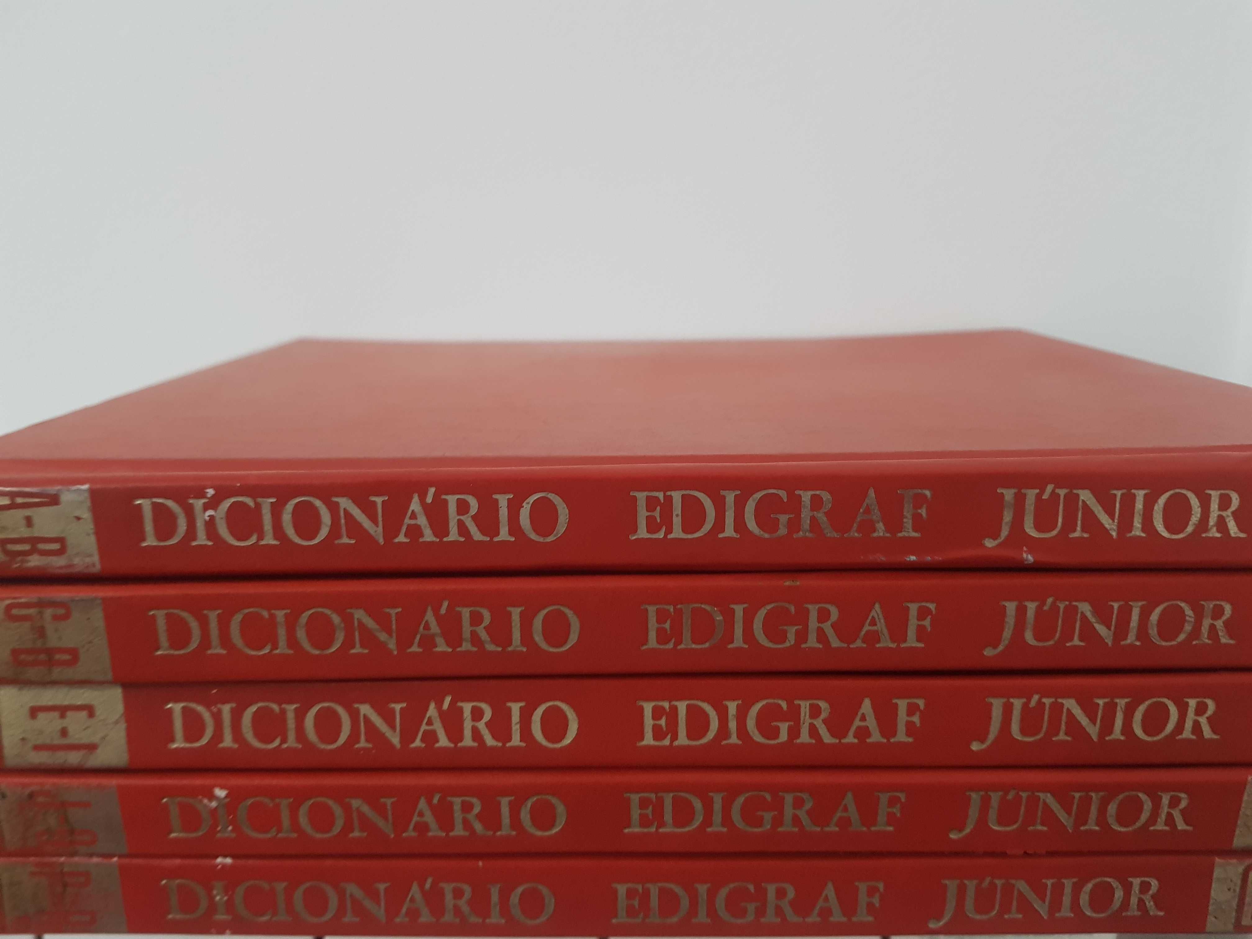 Dicionário Edigraf Júnior 5 livros