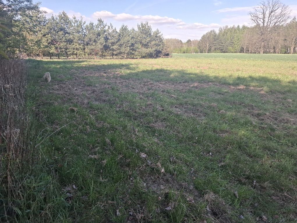 Działka budowlana w Jachrance, gmina Serock, pow. 1149m2