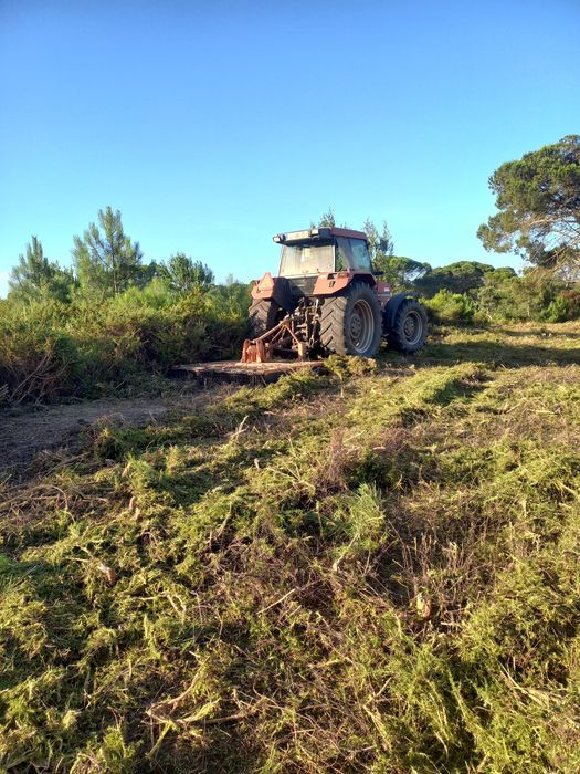 Limpezas de terrenos... Orçamentos grátis