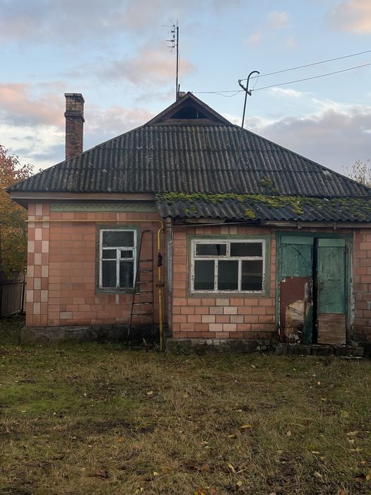 Будинок 20 хвилин від Черкас мальовниче село