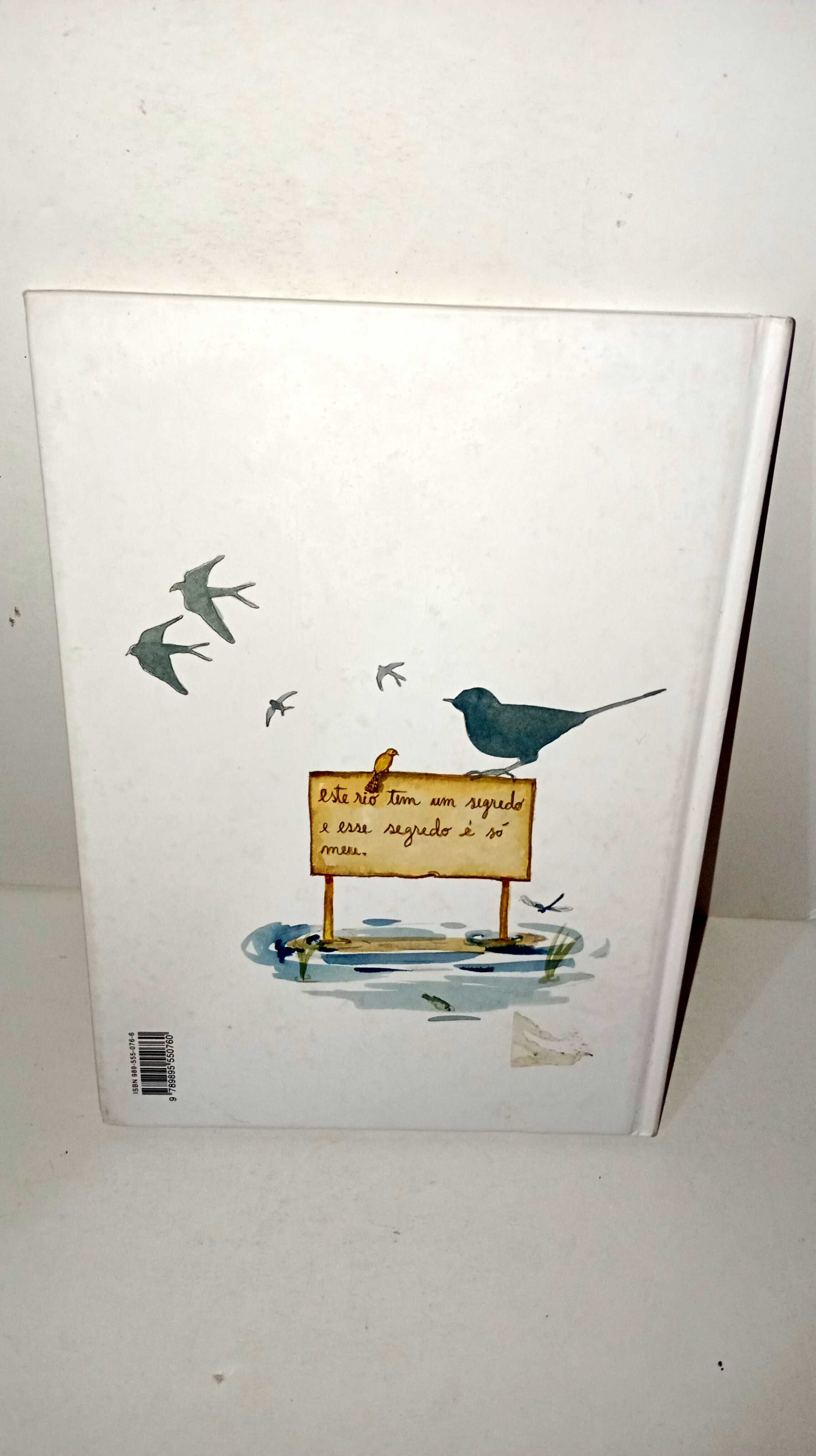 O Segredo do rio - Miguel Sousa Tavares