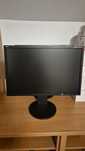 Monitor Nec MultiSync EA223WM, 22", LCD TN, VGA/DVI/DPort