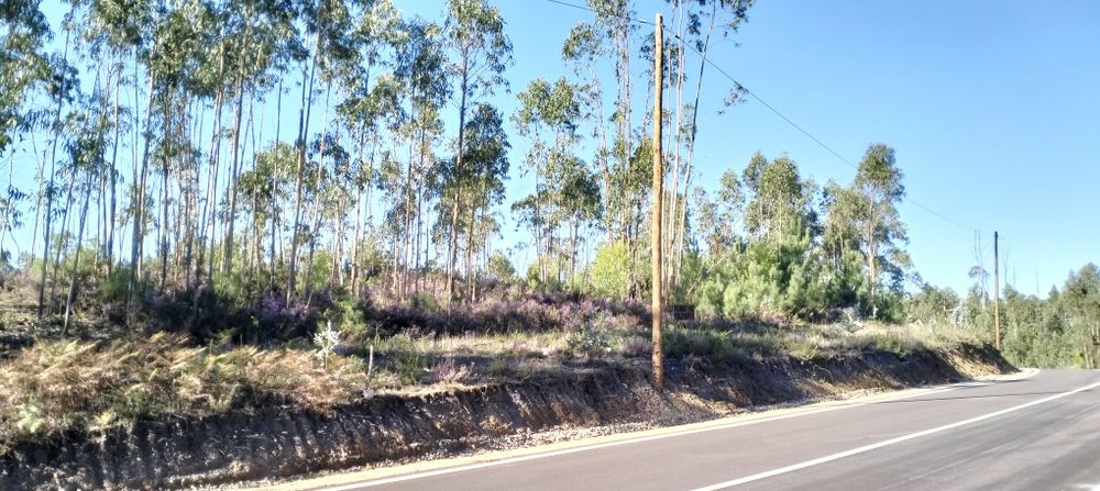 Terreno com 25m de frente