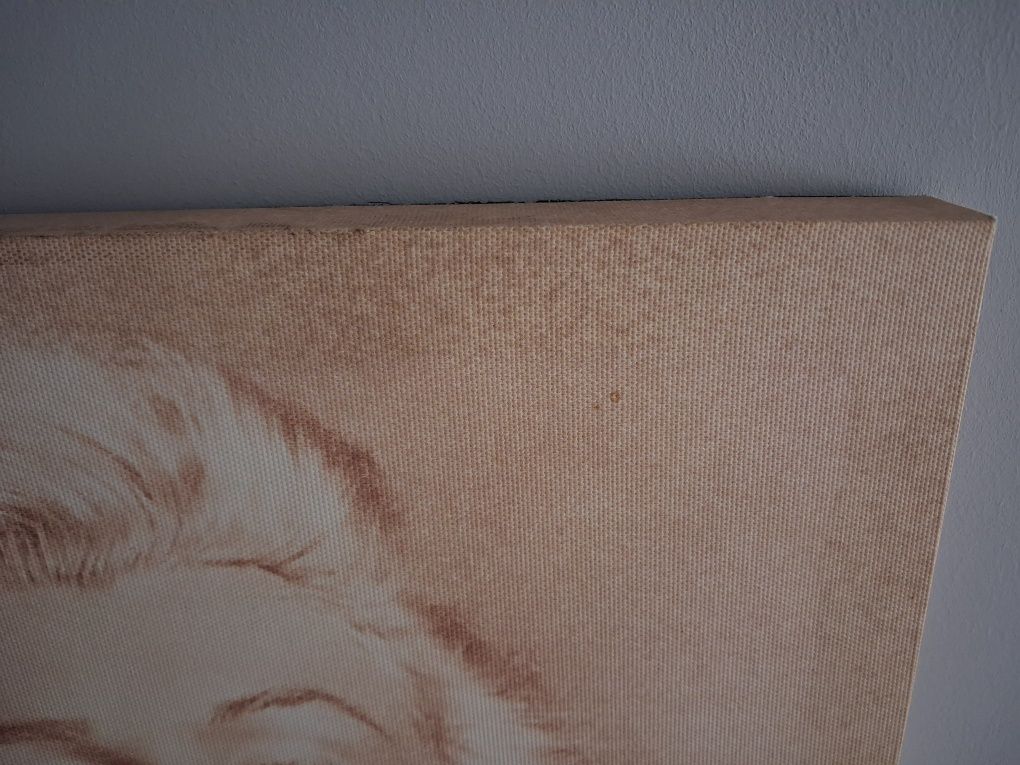 Marilyn Monroe - zdjęcie na płótnie 51x38