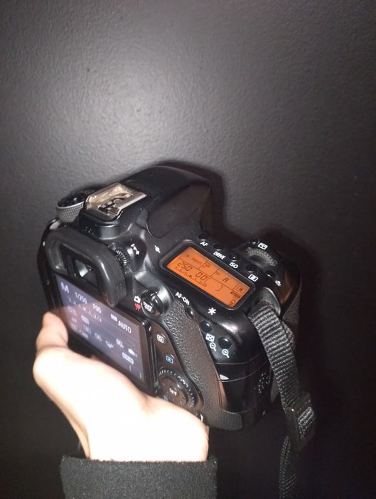 Canon EOS 80D body