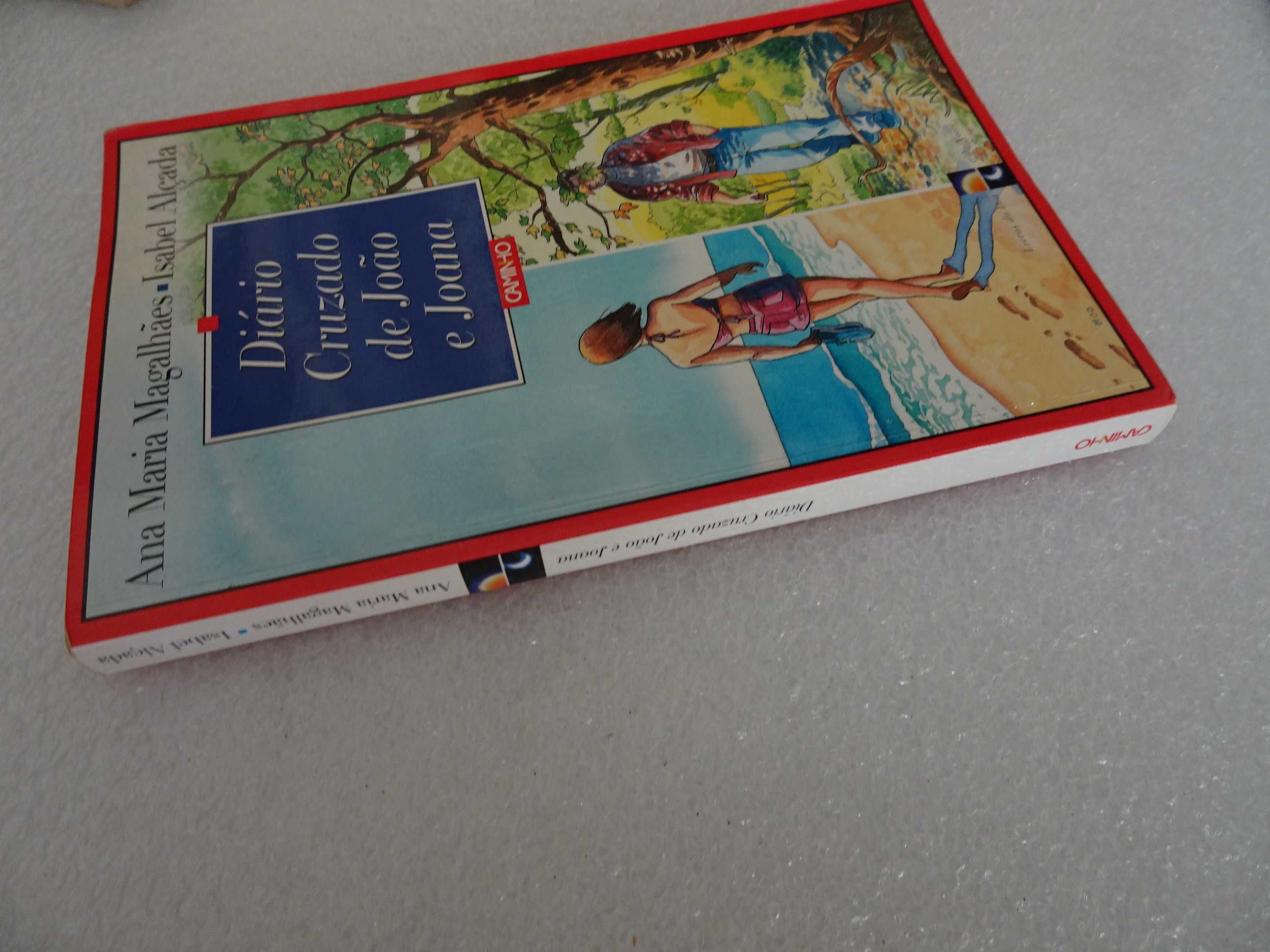 Livro - Diário Cruzado de João e Joana - Ana Maria Magalhães e Isabel