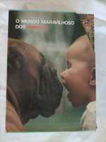 O mundo Maravilhoso dos Animais - portes incluídos