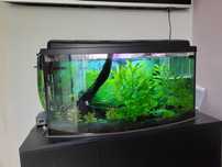 Akwarium 100l +gratisy