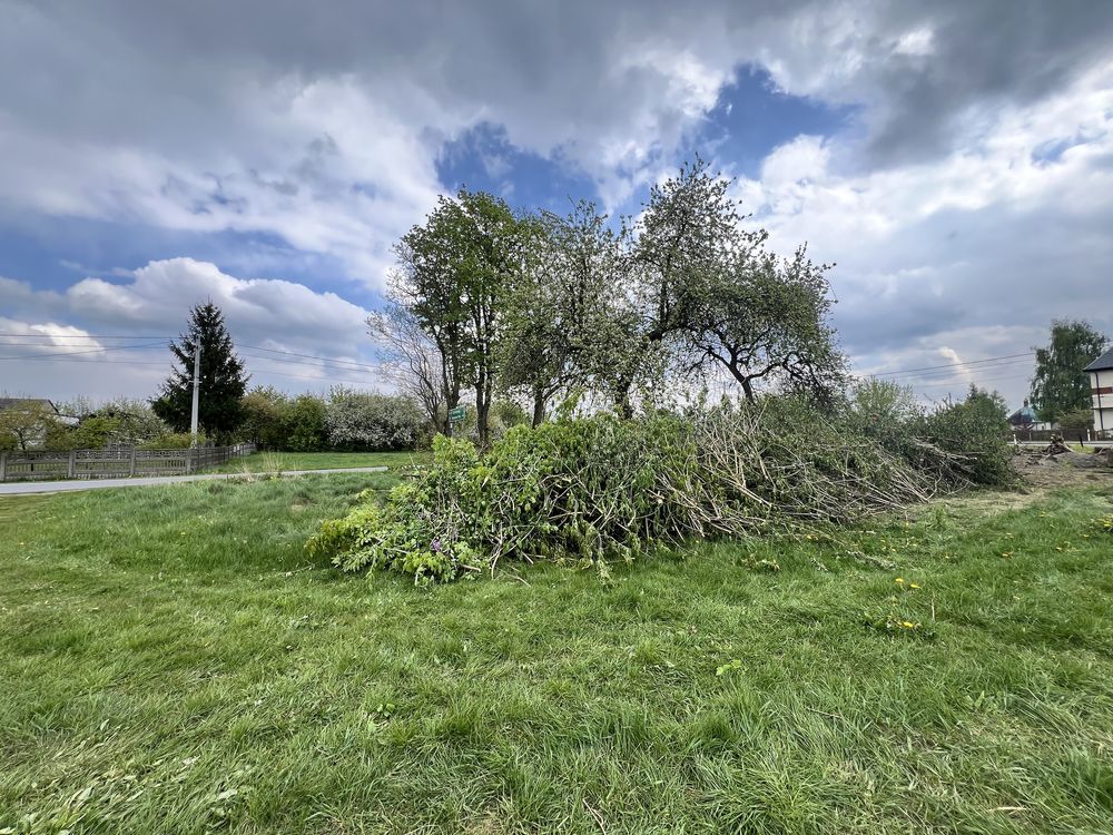 Oddam galezie z drzew lisciastych pod rębak. Duza ilosc.