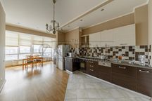 Оренда квартири, вул. Січових Стрільців, Лук'янівка
