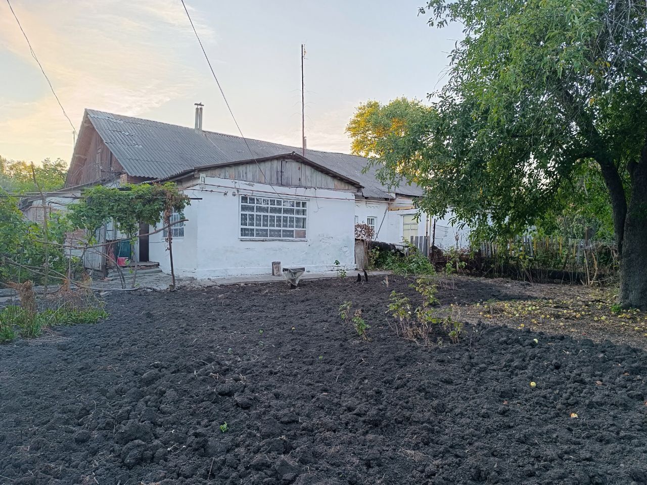 Квартира, гараж, літня кухня