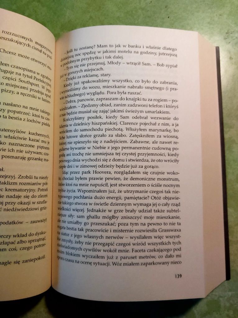Książka Tad Williams " Brudne ulice nieba"