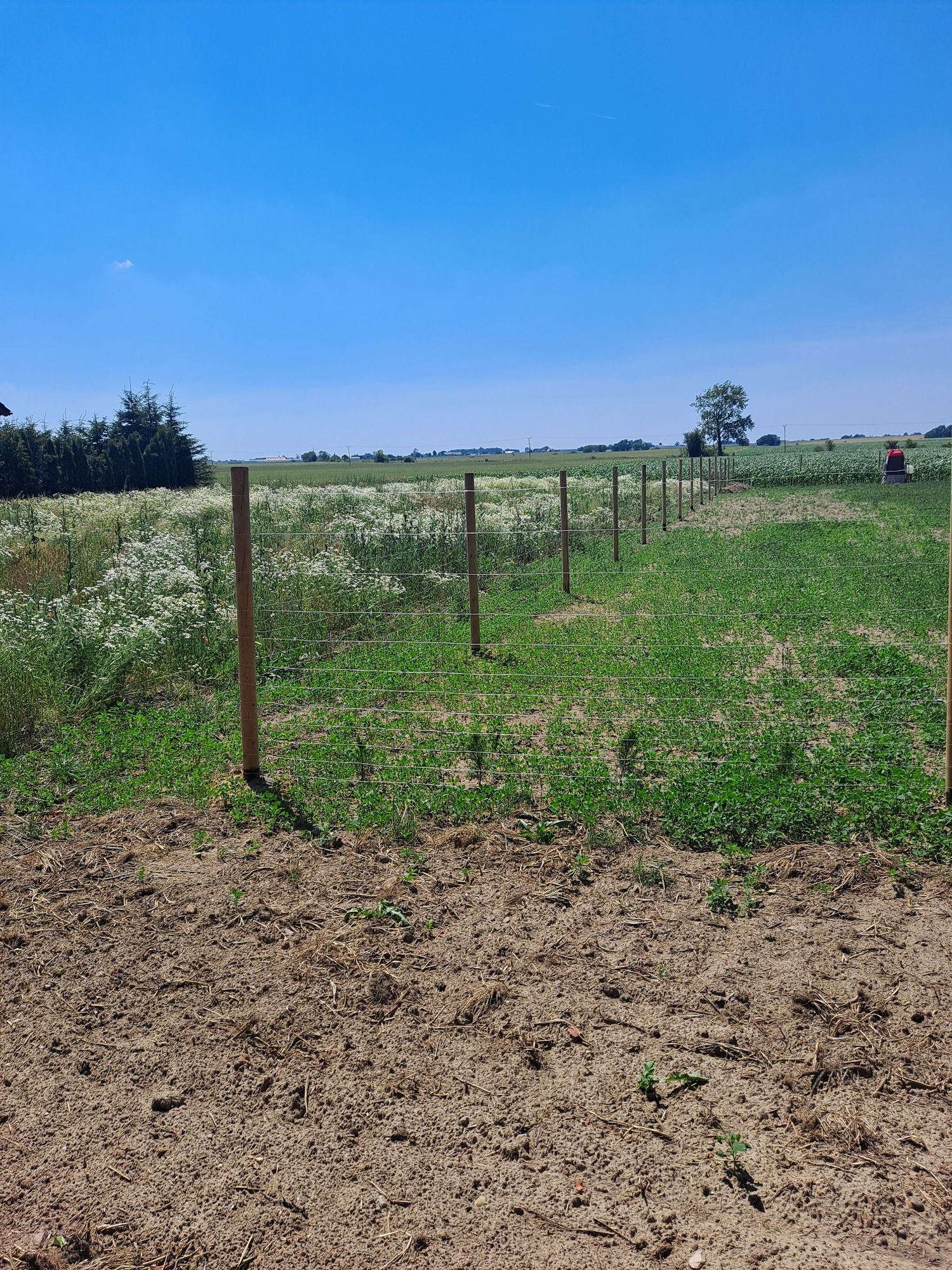 Ogrodzenie budowlane leśne tymczasowe 15zl