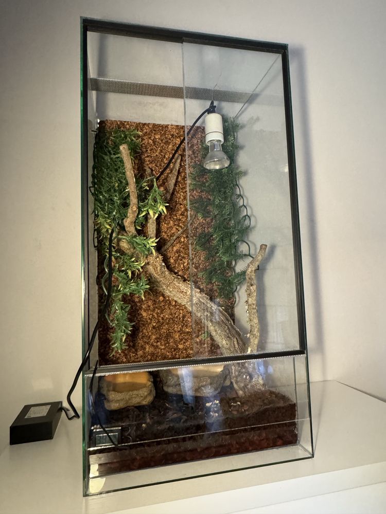 Sprzedam Terarium dla legwana bądź innego Gada