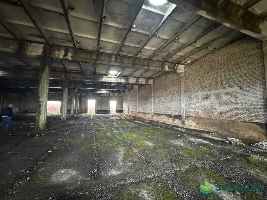 Продається виробничо-складське приміщення в с.Братківці (6)