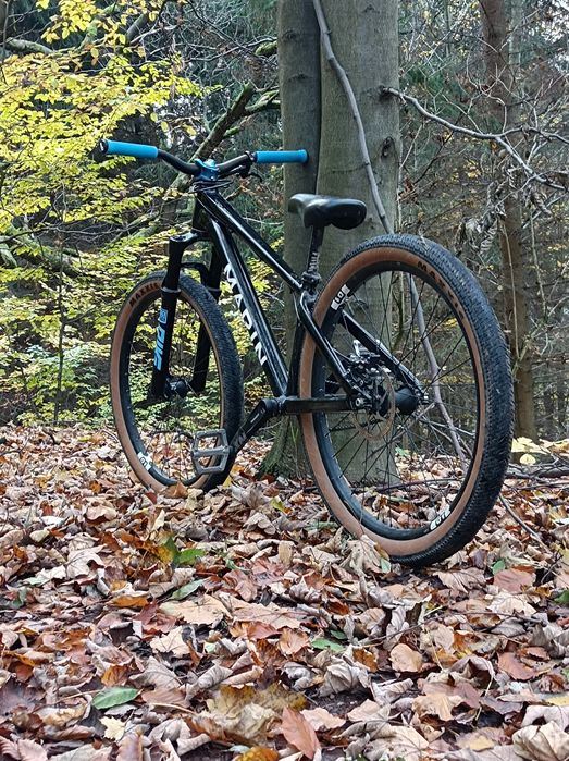 Rower dirt marin Alcatraz