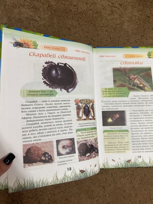 Дитяча енциклопедія «Світ дивовижних комах»