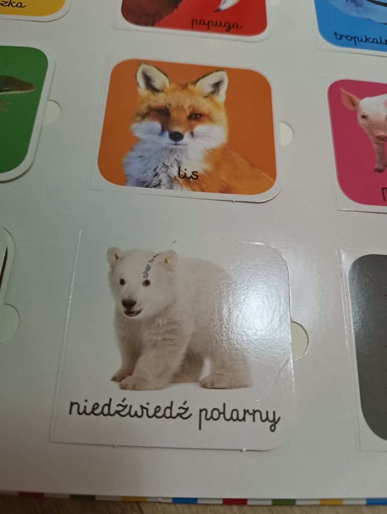 Moje pierwsze 100 zwierząt. Akademia mądrego dziecka. Używana, bdb