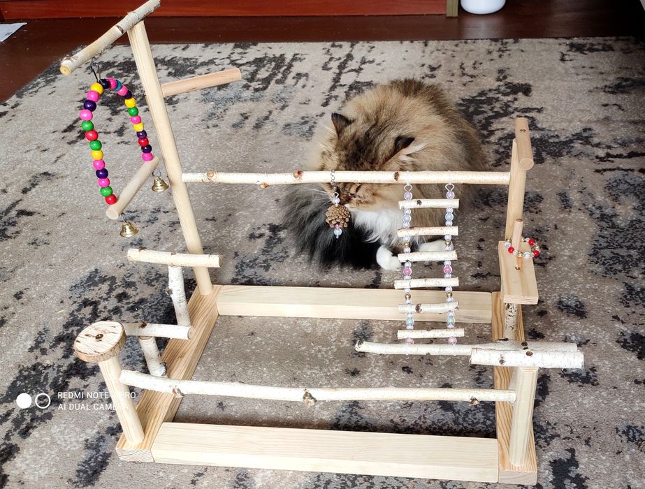 Стенд для папуг, присада, ігрова площадка