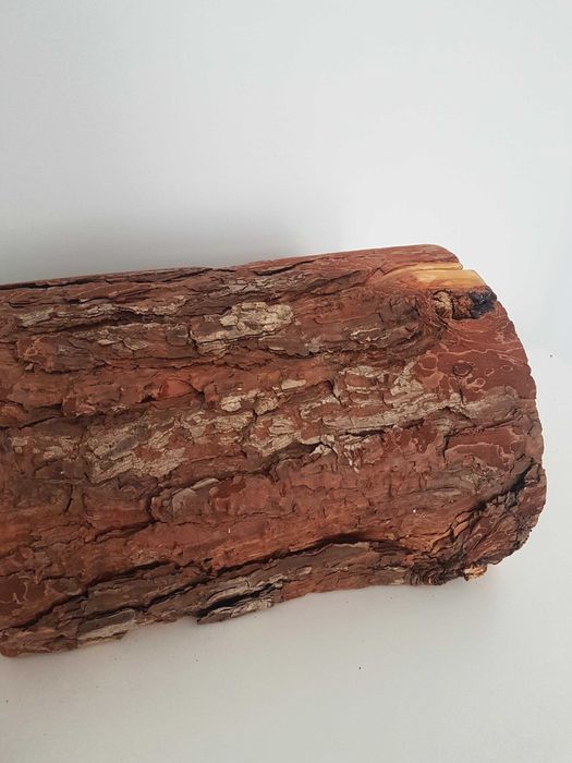 Drewniany tunel dla chomika gryzoni gadów naturalny uszkodzony