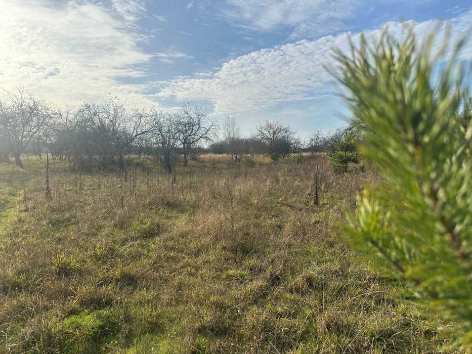 Продаж ділянки 10 соток під забудову. Біля лісу.Зручний під'їзд.ID:728