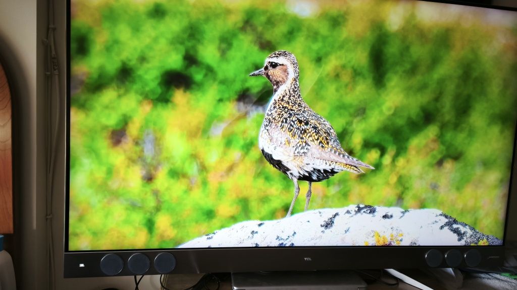 Smart TV TCL 55 polegadas QLED UHD 4K como nova