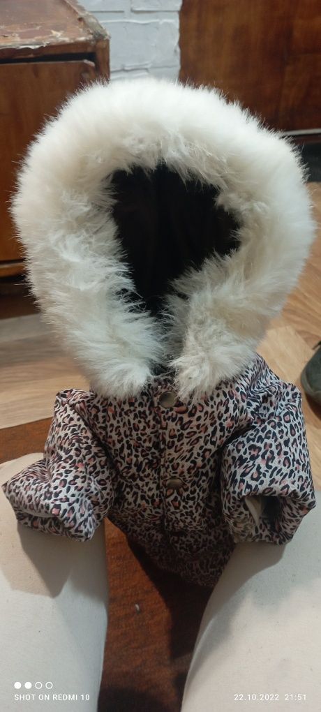 Продам зимний костюм для собачки