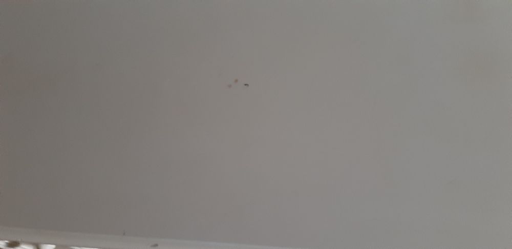 Komoda drewniana masywna plus półeczka