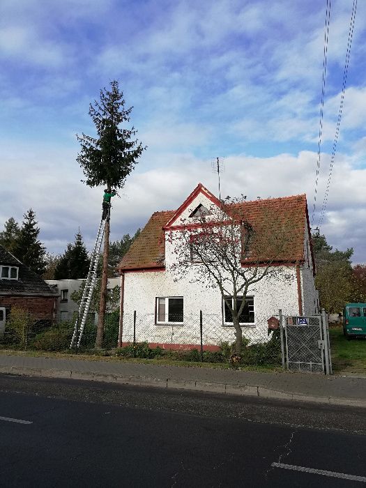 WYCINKA DRZEW frezowanie pni podnośnik koszowy 22m zwyżka rębak