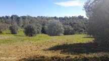 Terreno  para venda