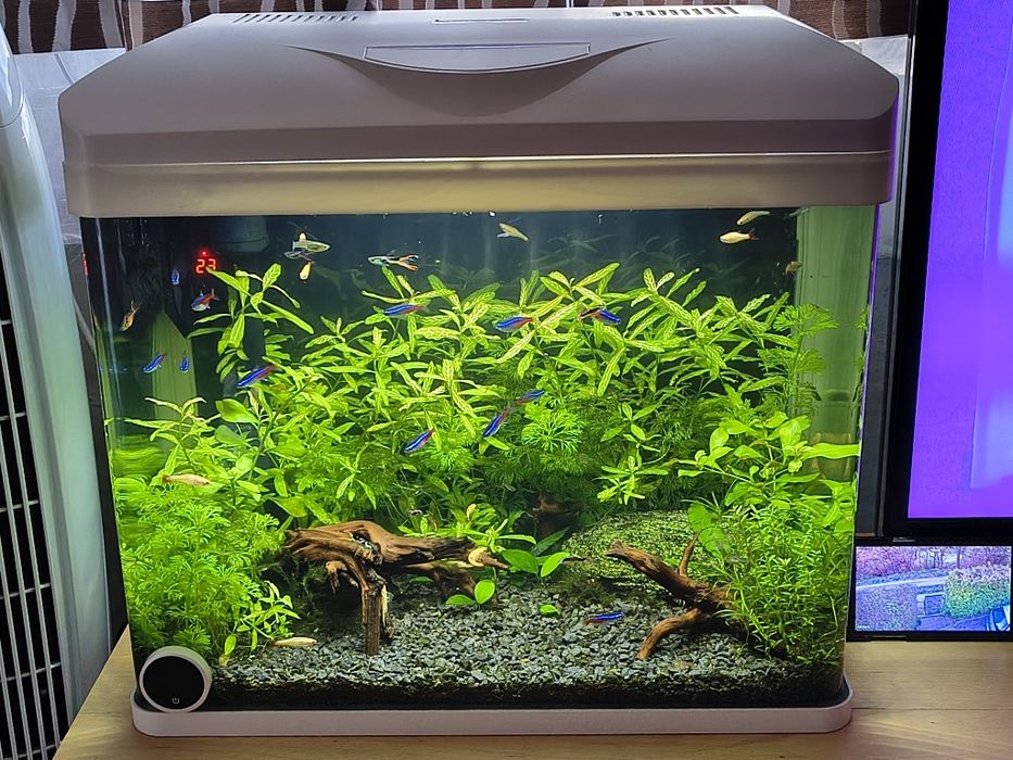 Designerskie oryginalne białe akwarium profilowane 50L LED INVITAL!