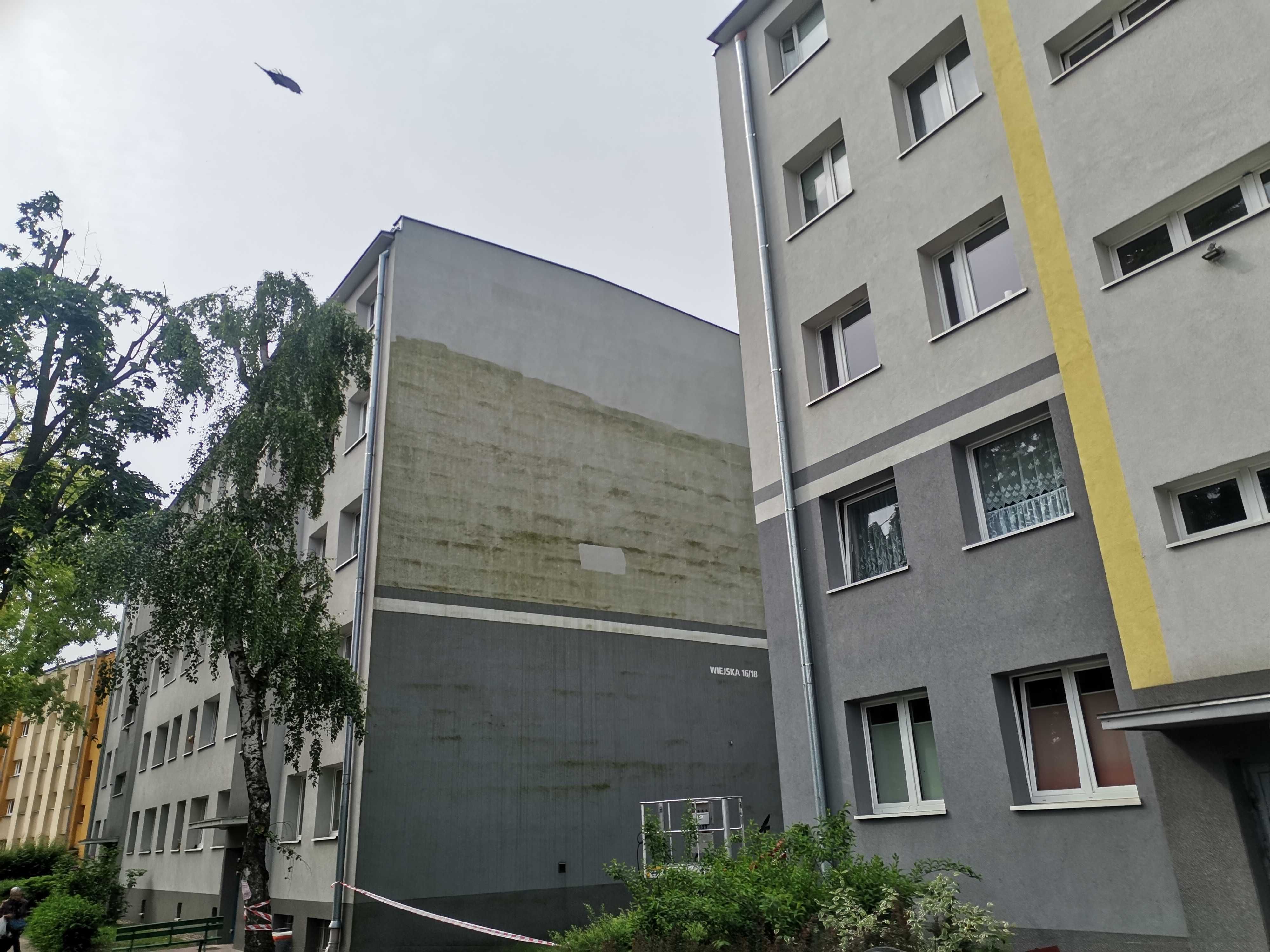 mycie czyszczenie kostki brukowej elewacji ozonowanie