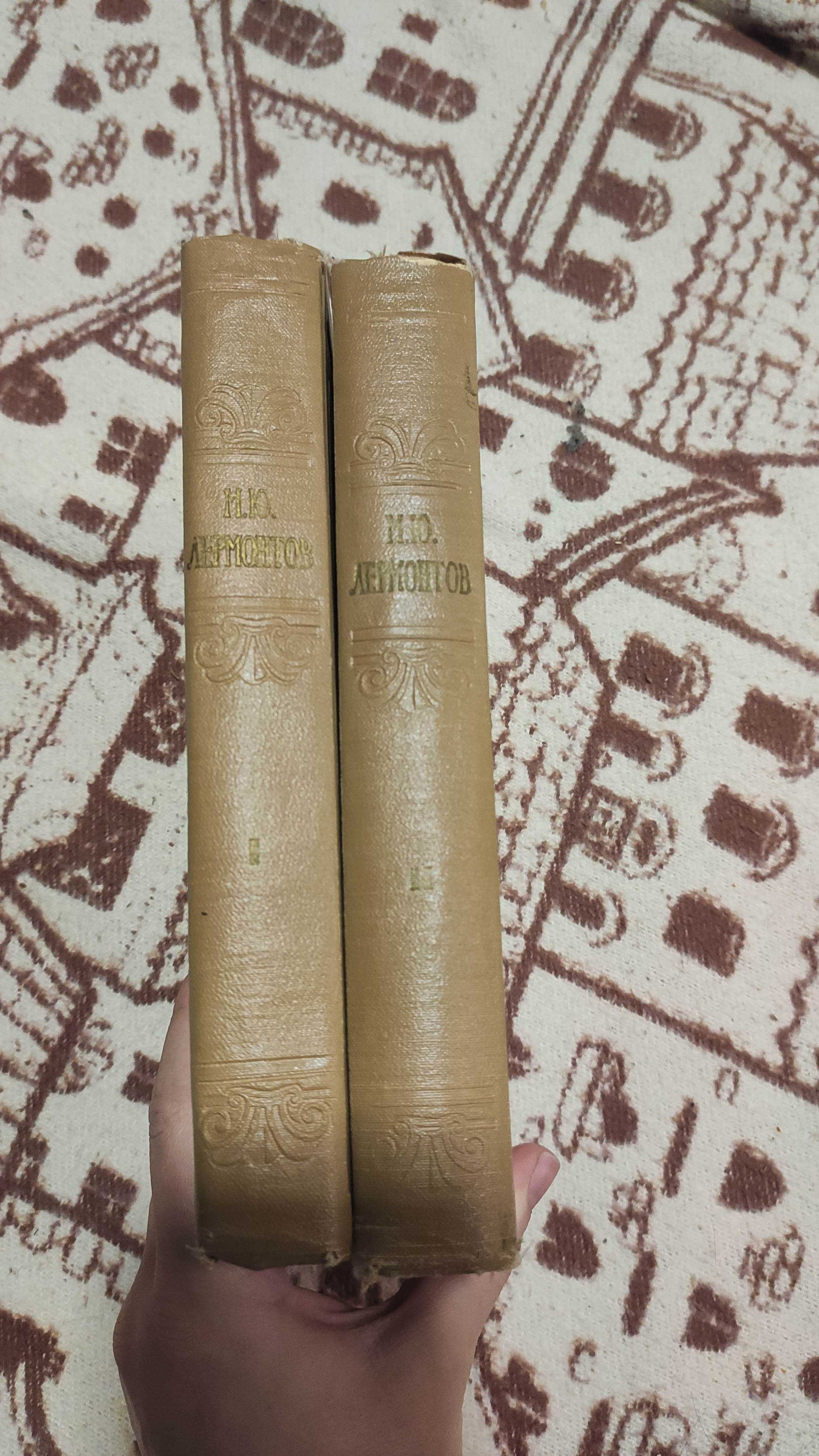 М. Ю. Лермонтов. Избранные произведения в 2 томах (комплект)