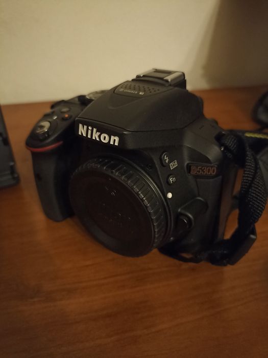 Kit Nikon D5300: AF-P DX NIKKOR 18-55mm f/3.5-5.6G VR