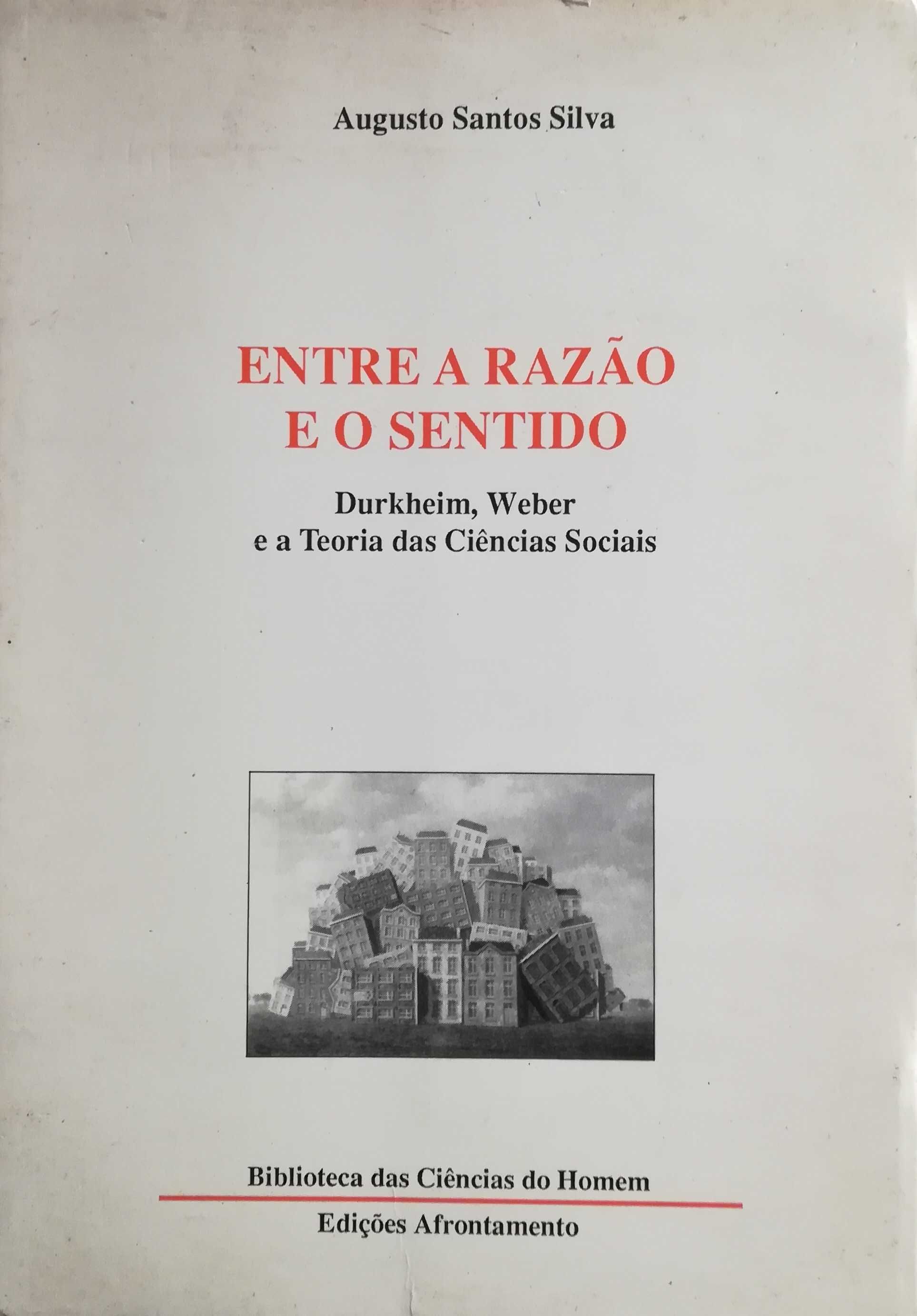 Entre a Razão e o Sentido: Durkheim, Weber e a Teoria das Ciências Soc