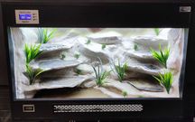 Terrarium pustynne nr623 90/35/60 dla gekona lamparciego NA ZAMÓWIENIE