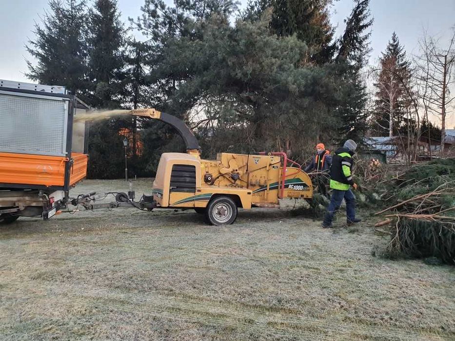 Wycinka drzew, przycinanie koron, zrębkowanie gałęzi, wywóz urobku
