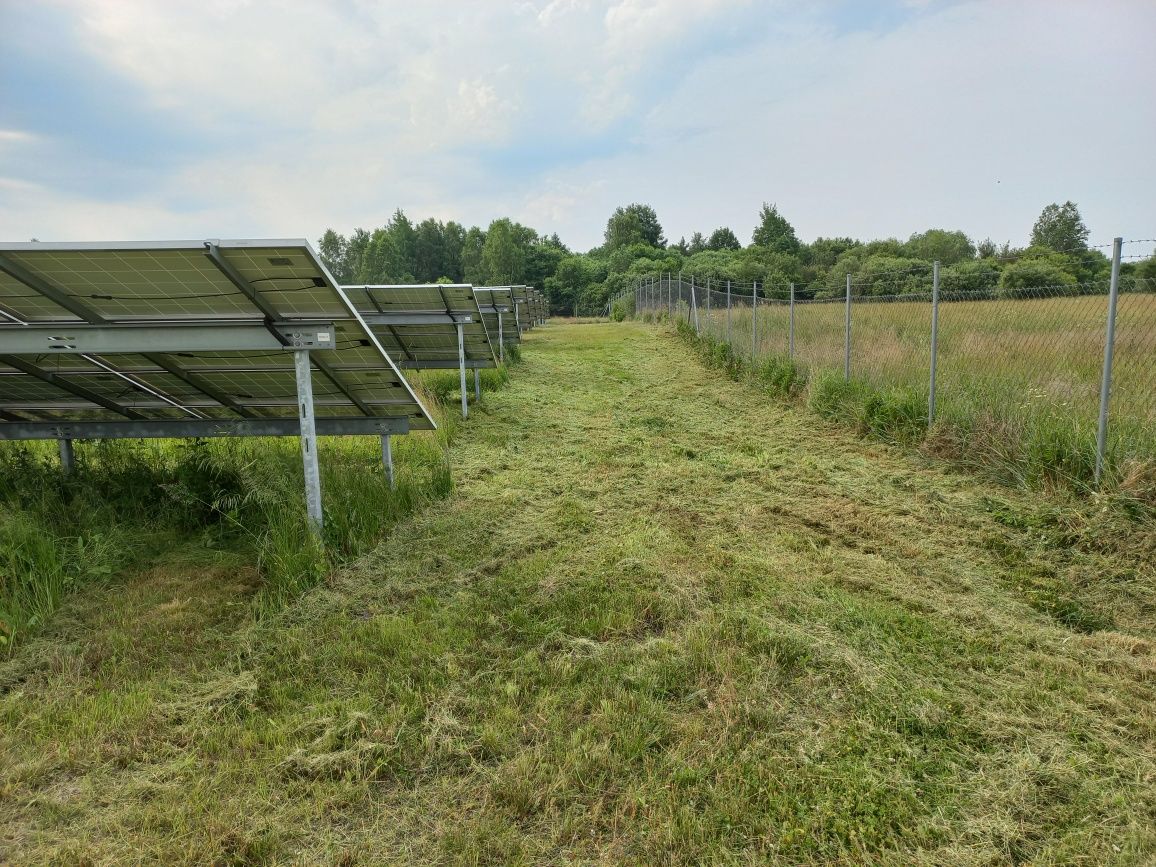 EKSPRESOWE koszenie farm fotowoltaicznych, koszenie terenów zielonych