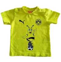 Koszulka Borussia Dortmund Minicasts Puma