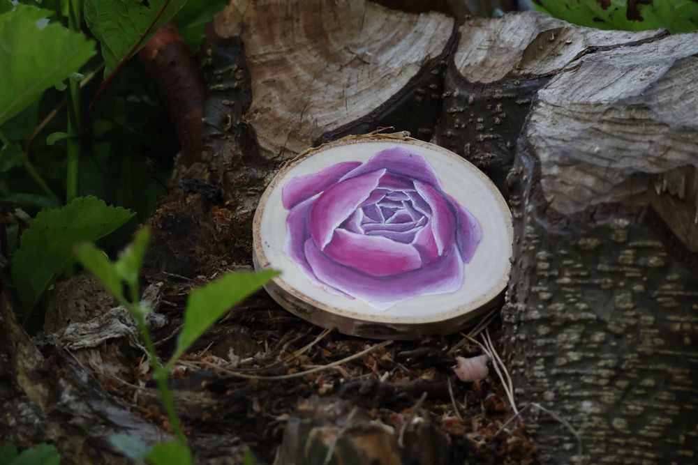 Magnes na lodówkę róża angielska