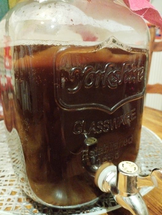 Grzybek herbaciany Kambucha Scoby