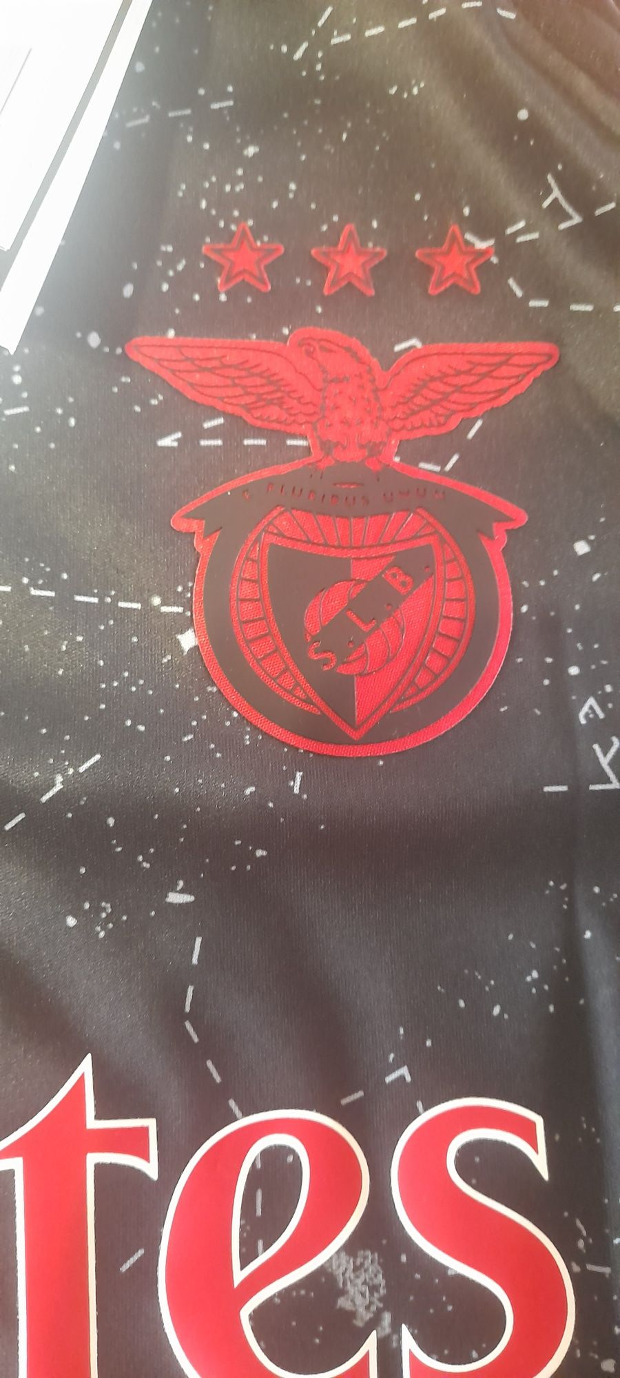 Camisola oficial SL Benfica- Equipamento alternativo (época 2024-25)