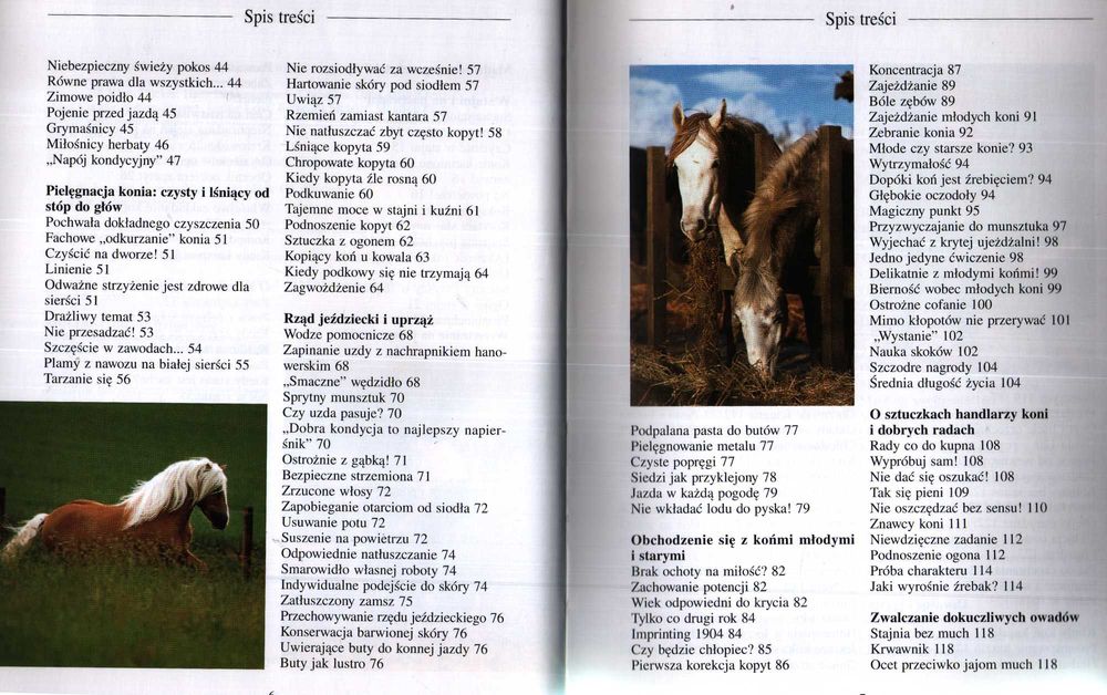 Rady dziadka masztalerza