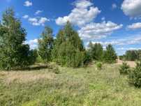 Krubki-Górki działka budowlana z Warunkami Zabudowy WZ 1000m2