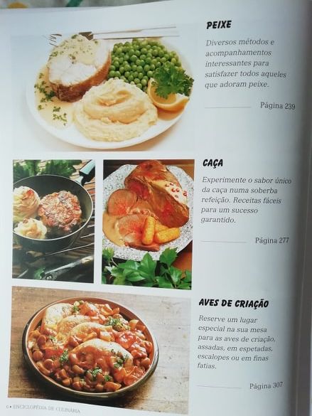 Enciclopédia de culinária