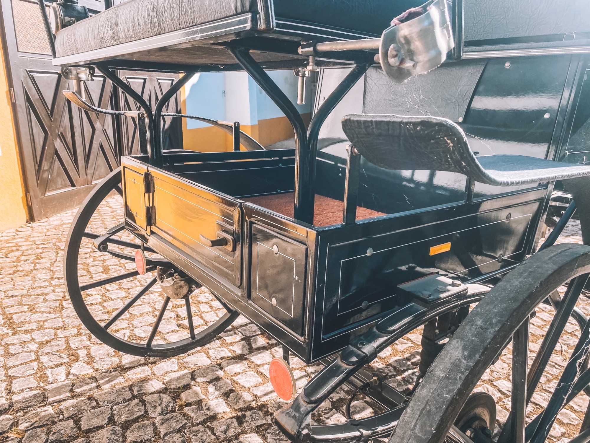 Carro de atrelagem Sierakowski & son
