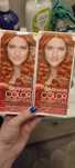 2 farby miedziany blond garnier