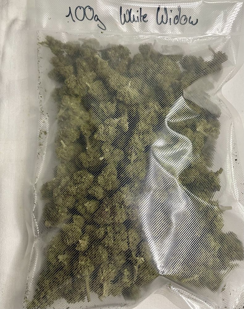 WHITE WIDOW 100g SZARASTREFA.PL Marihuana 0,3>Thc CBD Susz Topy