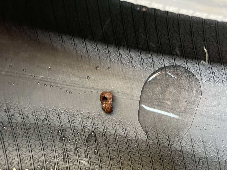 Резина зима 205/55 R 16 Nokian комплект